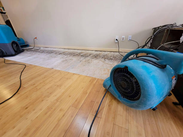 Professional Flood Damage Cleanup technician working in Germantown, NY